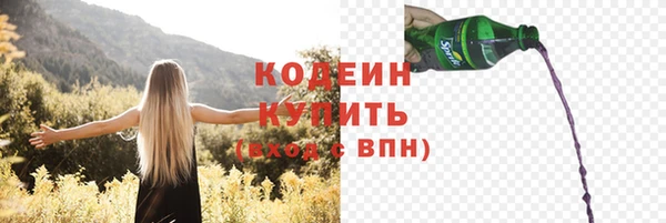 сатива Лабытнанги