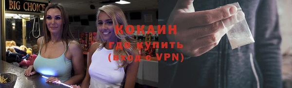 сатива Лабытнанги