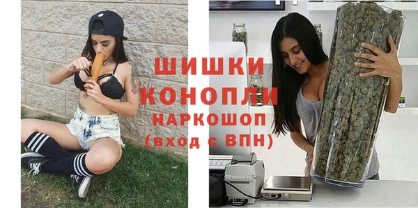 сатива Лабытнанги