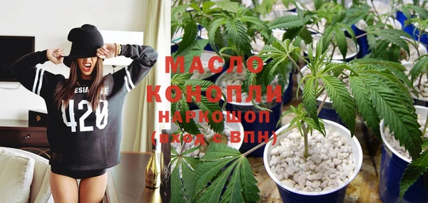 сатива Лабытнанги