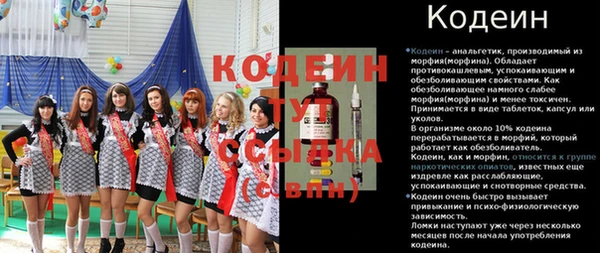 сатива Лабытнанги