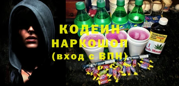 сатива Лабытнанги