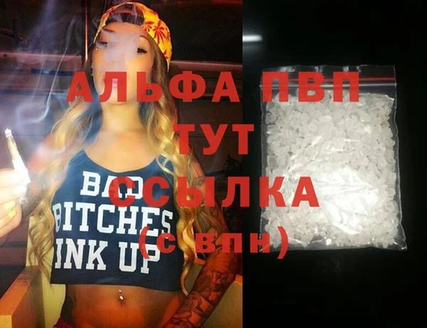 сатива Лабытнанги