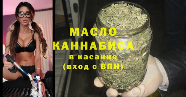 сатива Лабытнанги