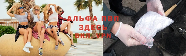 сатива Лабытнанги